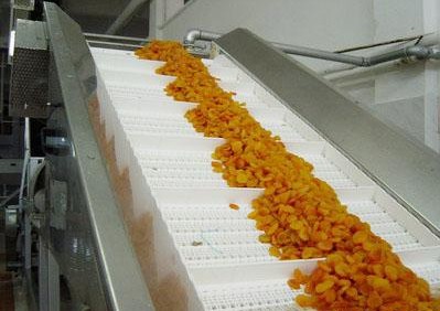 食品網(wǎng)帶輸送機