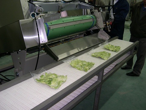網(wǎng)帶輸送機