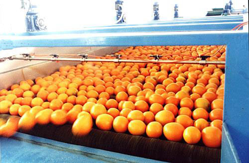 皮帶輸送機(jī)